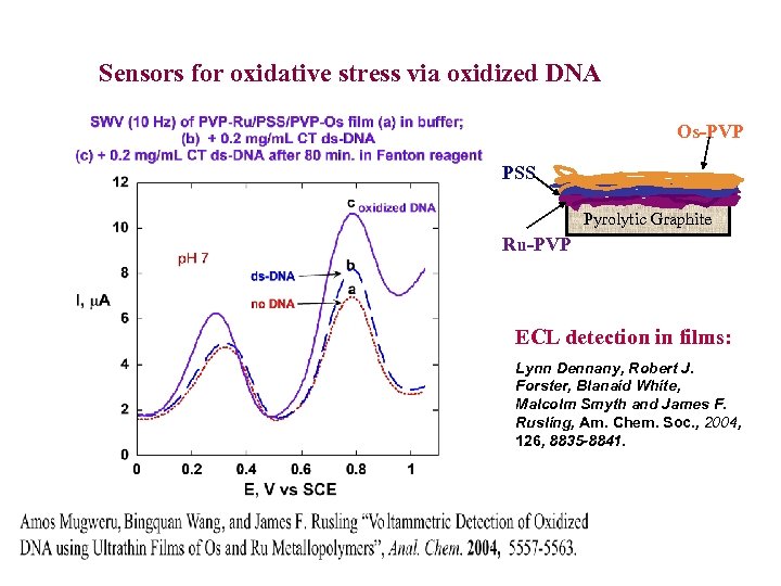 Sensors for oxidative stress via oxidized DNA Os-PVP PSS Pyrolytic Graphite Ru-PVP ECL detection