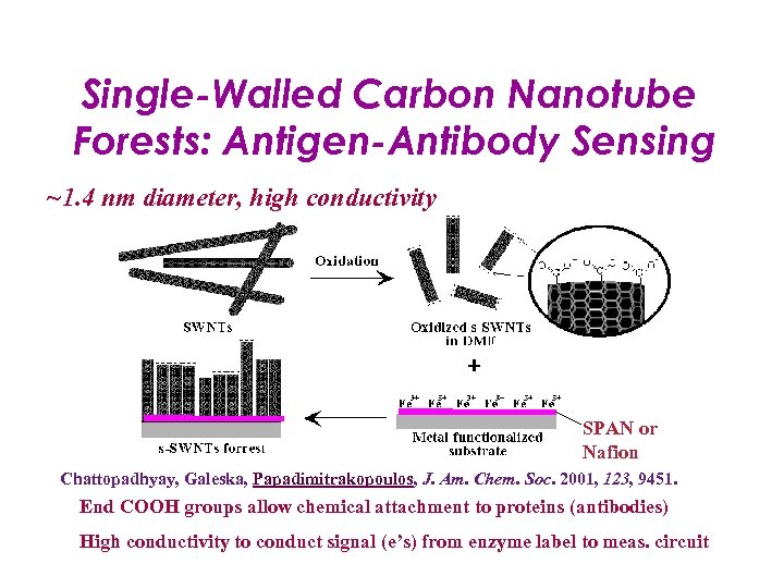 Single-Walled Carbon Nanotube Forests: Antigen-Antibody Sensing ~1. 4 nm diameter, high conductivity SPAN or