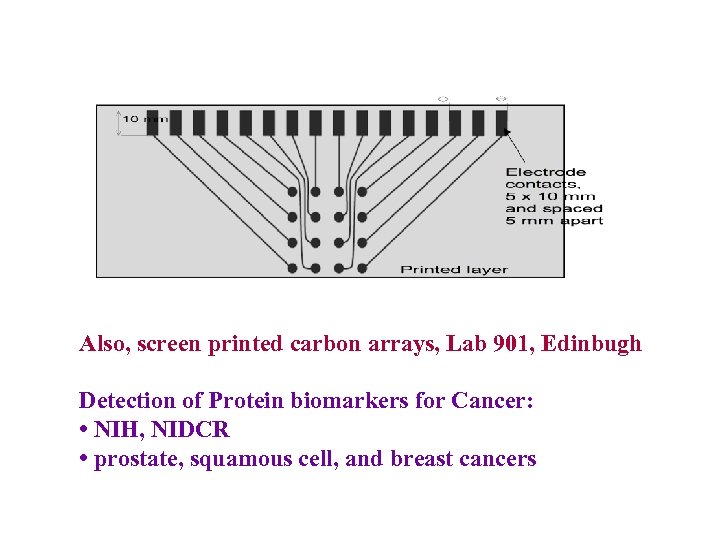 Also, screen printed carbon arrays, Lab 901, Edinbugh Detection of Protein biomarkers for Cancer: