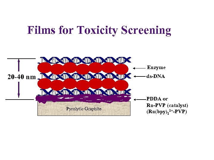Films for Toxicity Screening Enzyme 20 -40 nm ds-DNA Pyrolytic Graphite PDDA or Ru-PVP