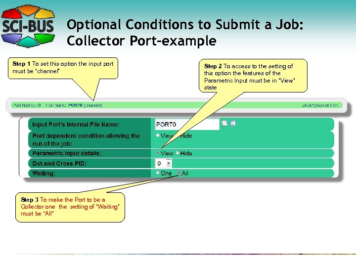 Optional Conditions to Submit a Job: Collector Port-example Step 1 To set this option