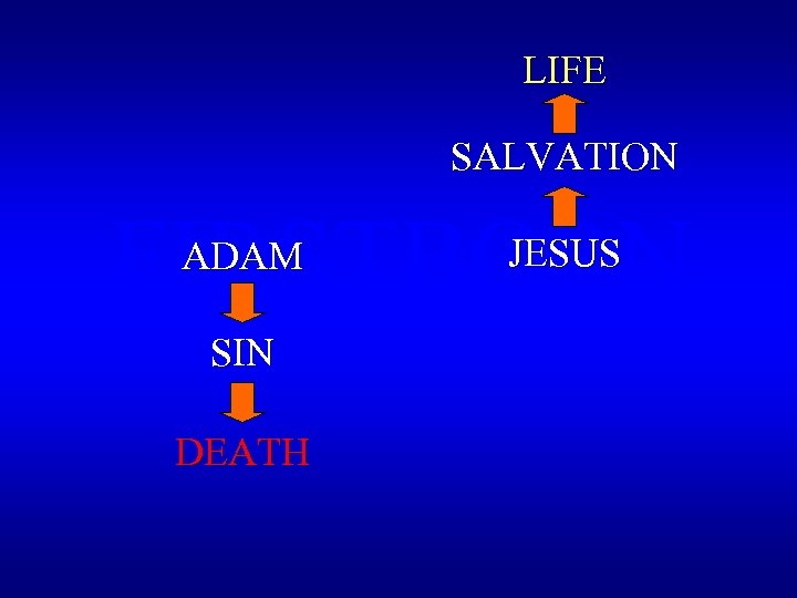LIFE SALVATION FIRSTBORN ADAM SIN DEATH JESUS 