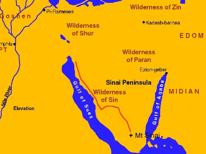 FIRSTBORN + Mt Sinai 