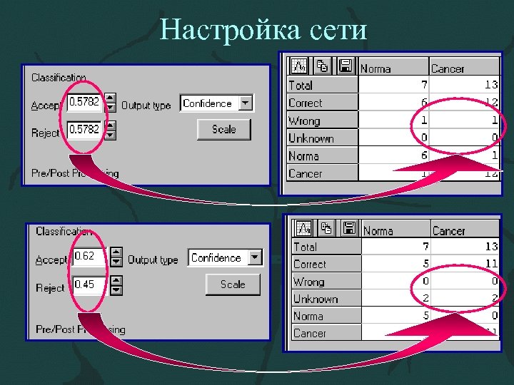 Настройка сети 