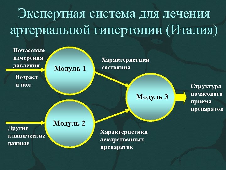 Экспертная система для лечения артериальной гипертонии (Италия) Почасовые измерения давления Модуль 1 Характеристики состояния