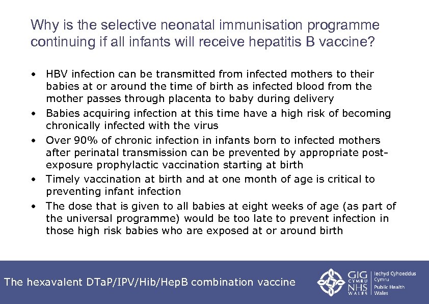 Why is the selective neonatal immunisation programme continuing if all infants will receive hepatitis