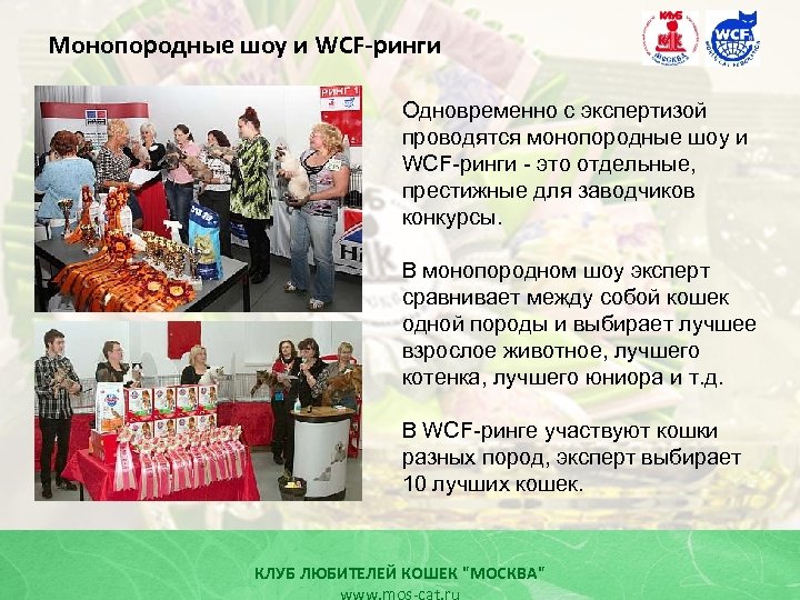 Монопородные шоу и WCF-ринги Одновременно с экспертизой проводятся монопородные шоу и WCF-ринги - это
