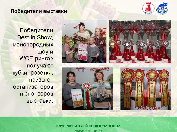 Победители выставки Победители Best in Show, монопородных шоу и WCF-рингов получают кубки, розетки, призы