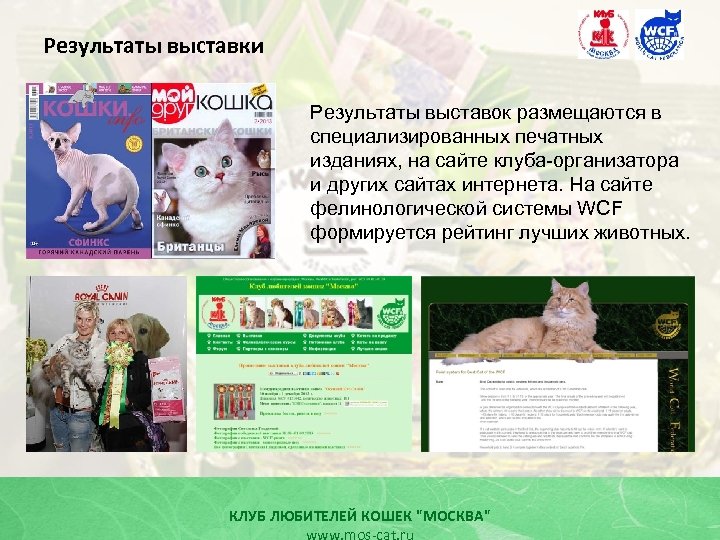 Результаты выставки Результаты выставок размещаются в специализированных печатных изданиях, на сайте клуба-организатора и других