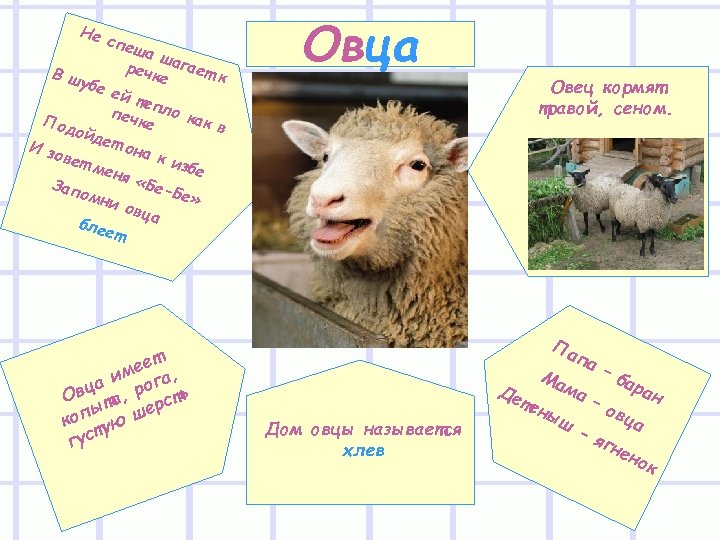 Не спе ш а ш реч агает В ш ке к убе ей те