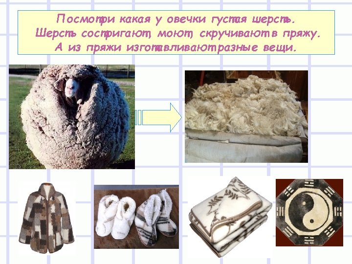 Посмотри какая у овечки густая шерсть. Шерсть состригают, моют, скручивают в пряжу. А из