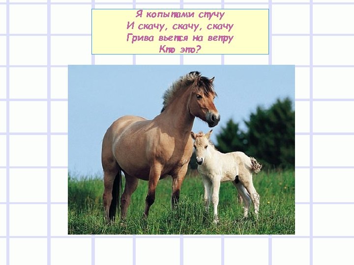 Я копытами стучу И скачу, скачу Грива вьется на ветру Кто это? 