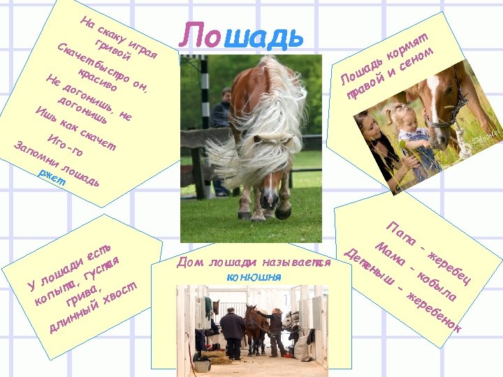 На ска к гри у иг Ска вой рая чет б кра ыстр Не