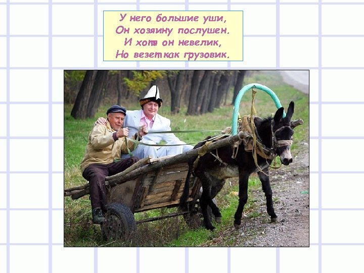 У него большие уши, Он хозяину послушен. И хотя он невелик, Но везет как