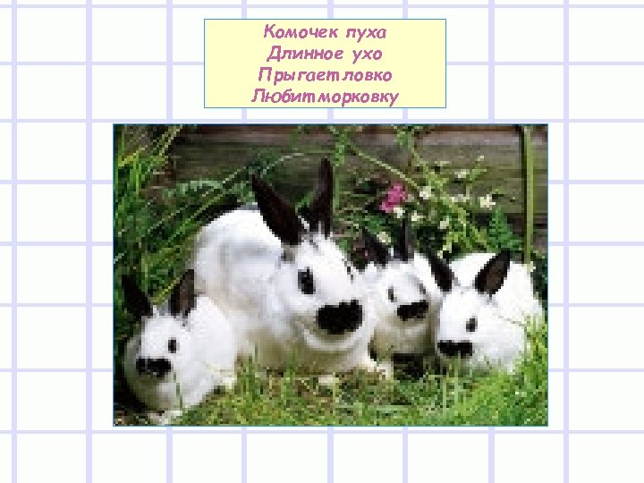 Комочек пуха Длинное ухо Прыгает ловко Любит морковку 