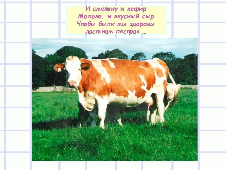 И сметану и кефир Молоко, и вкусный сыр Чтобы были мы здоровы даст нам
