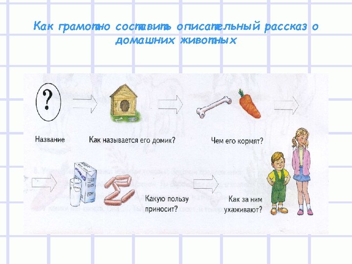 План рассказ о домашнем. План рассказа о домашних животных. Описательный рассказ о домашних животных. Составление рассказа о дом животном.