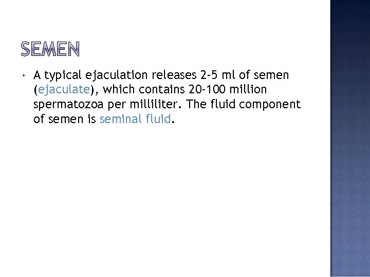 • A typical ejaculation releases 2 -5 ml of semen (ejaculate), which contains