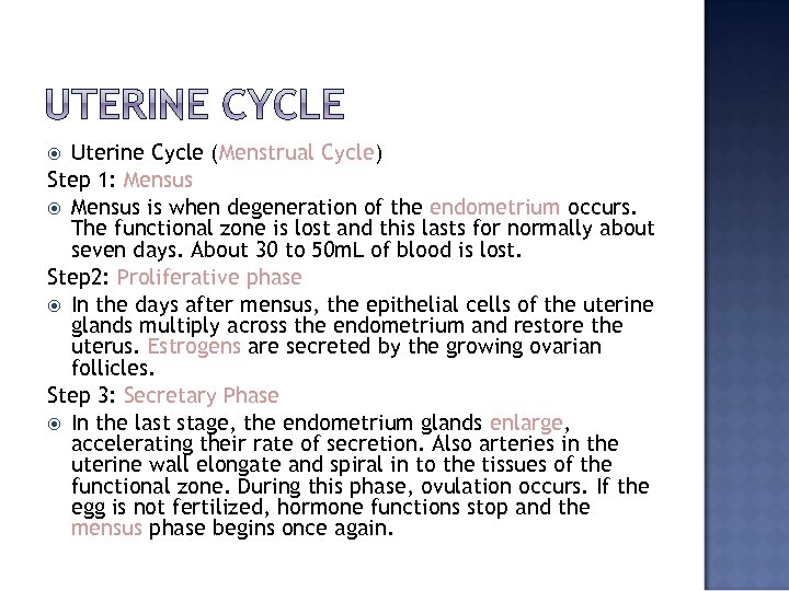 Uterine Cycle (Menstrual Cycle) Step 1: Mensus is when degeneration of the endometrium occurs.