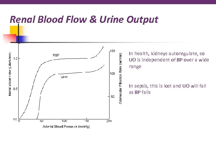 Renal Blood Flow & Urine Output In health, kidneys autoregulate, so UO is independent