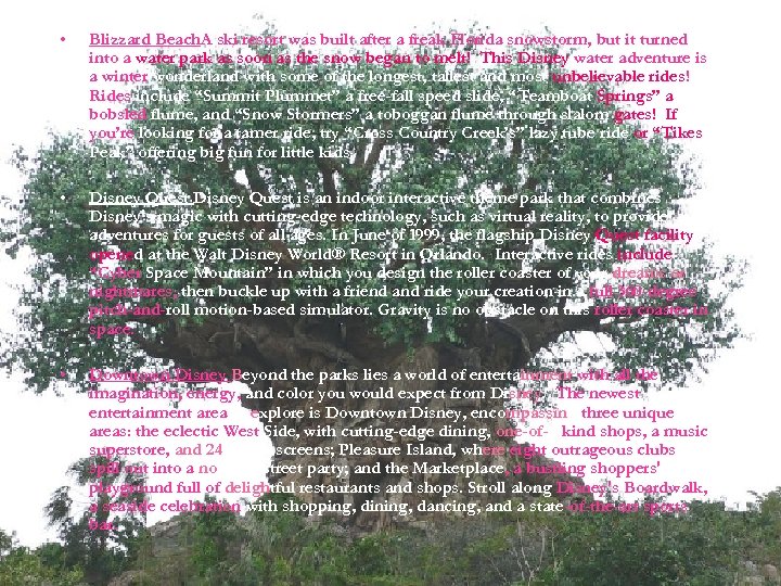  • Blizzard Beach. A ski resort was built after a freak Florida snowstorm,