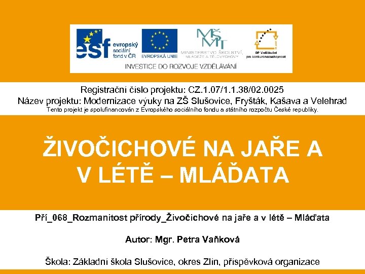 Registrační číslo projektu: CZ. 1. 07/1. 1. 38/02. 0025 Název projektu: Modernizace výuky na