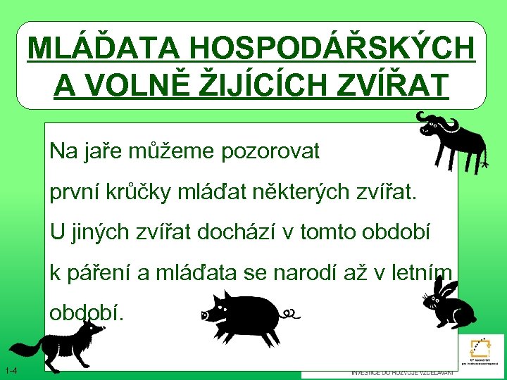 MLÁĎATA HOSPODÁŘSKÝCH A VOLNĚ ŽIJÍCÍCH ZVÍŘAT Na jaře můžeme pozorovat první krůčky mláďat některých