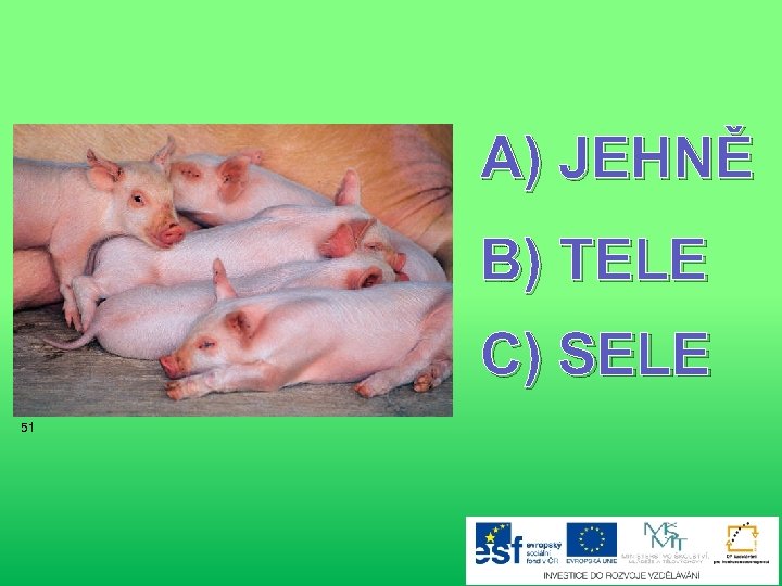 A) JEHNĚ B) TELE C) SELE 51 