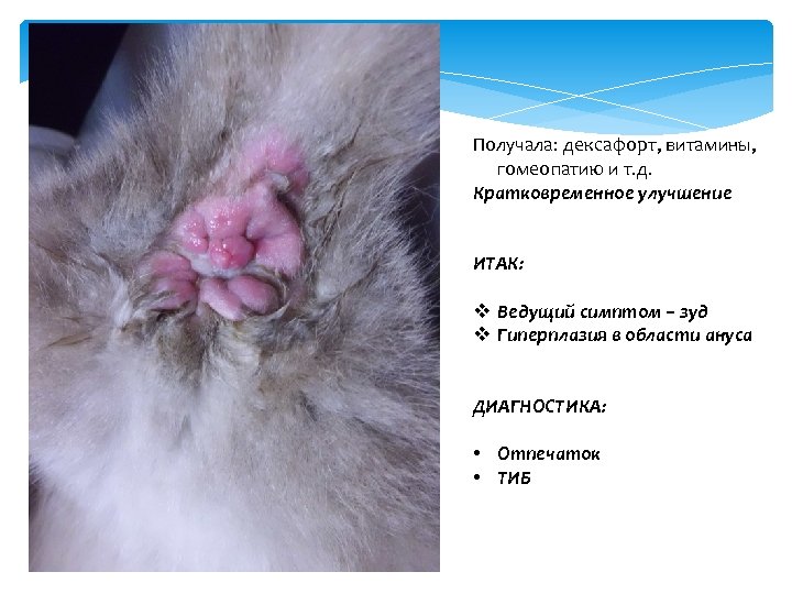 Получала: дексафорт, витамины, гомеопатию и т. д. Кратковременное улучшение ИТАК: v Ведущий симптом –