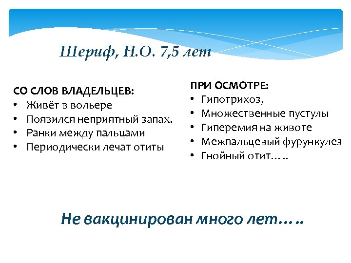 Шериф, Н. О. 7, 5 лет СО СЛОВ ВЛАДЕЛЬЦЕВ: • Живёт в вольере •
