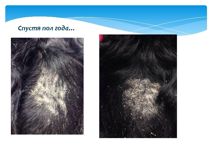 Спустя пол года… 