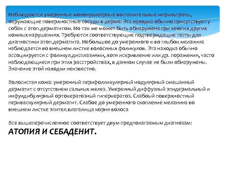 Наблюдаются умеренные мононуклеарные воспалительные инфильтраты, окружающие поверхностные сосуды в дерме. Эта находка обычно присутствует