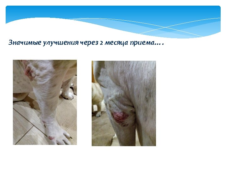 Значимые улучшения через 2 месяца приема…. 