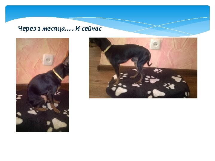 Через 2 месяца…. И сейчас 