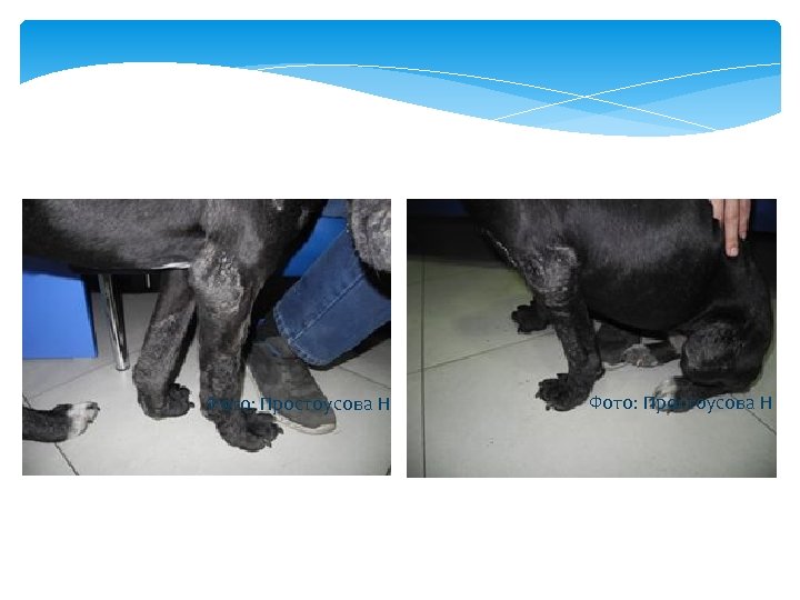 Фото: Простоусова Н 