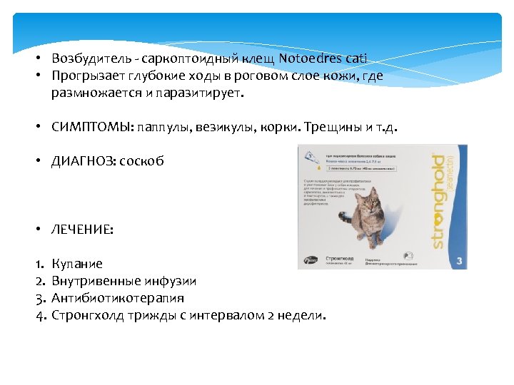 • Возбудитель - саркоптоидный клещ Notoedres cati • Прогрызает глубокие ходы в роговом