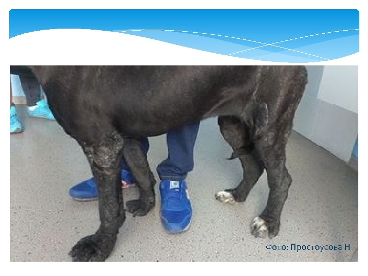 Фото: Простоусова Н 