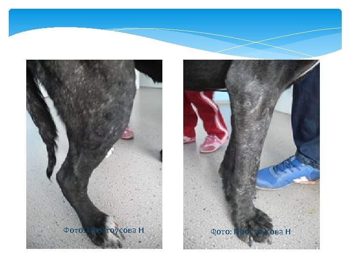 Фото: Простоусова Н 