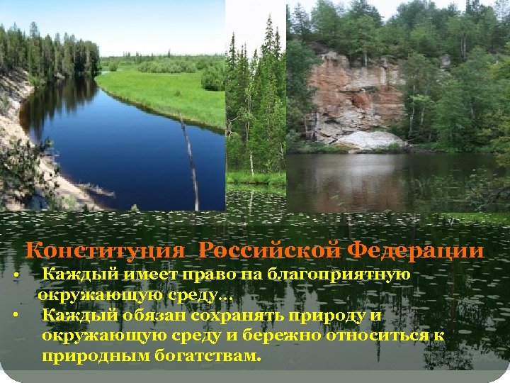 Конституция Российской Федерации • • Каждый имеет право на благоприятную окружающую среду… Каждый обязан