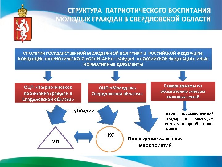 Проект предложений к закону о молодежи проект