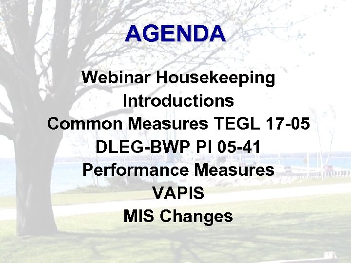 AGENDA Webinar Housekeeping Introductions Common Measures TEGL 17 -05 DLEG-BWP PI 05 -41 Performance