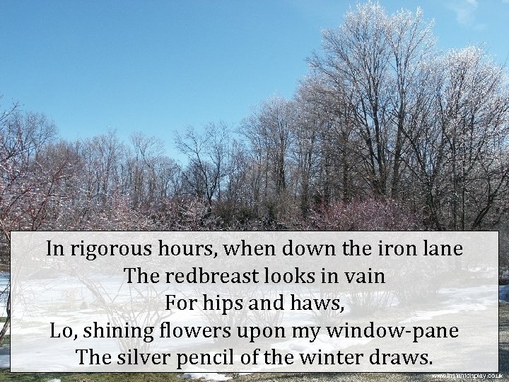 In rigorous hours, when down the iron lane The redbreast looks in vain For