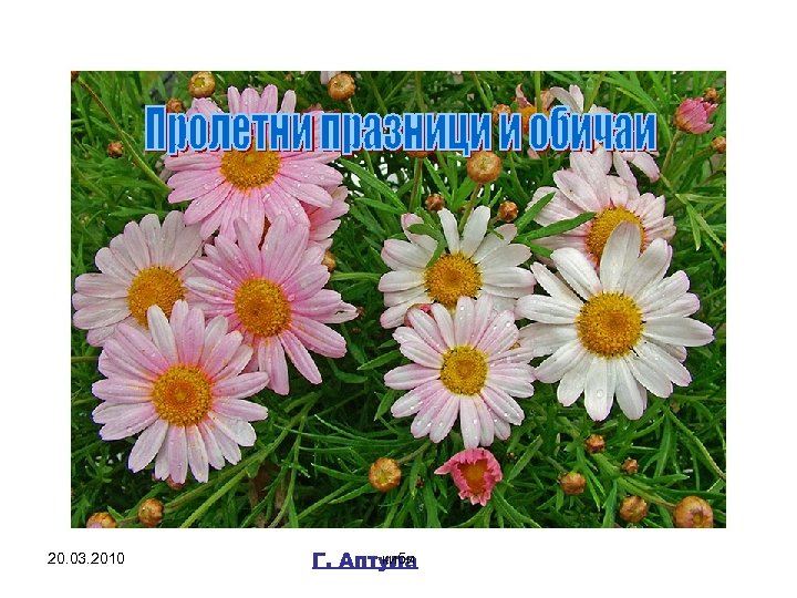 Информацията е събрана от интернет 20. 03. 2010 киби Г. Аптула 