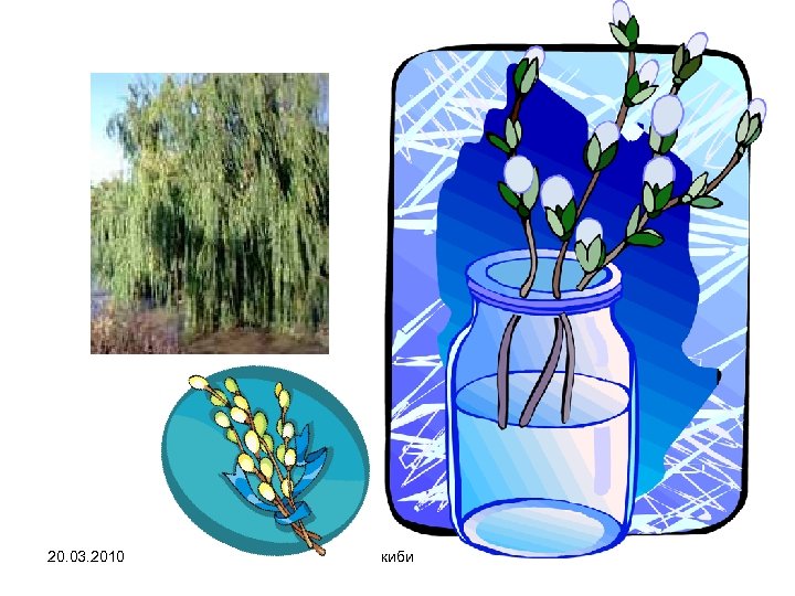 20. 03. 2010 киби 