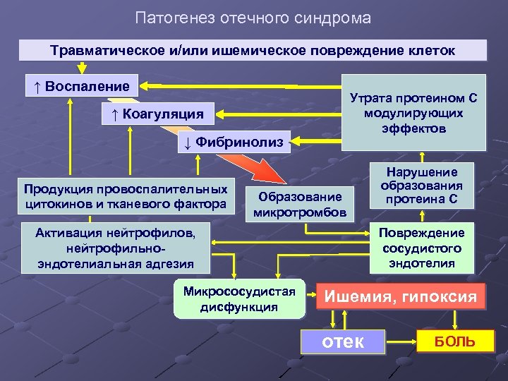 Патогенез синдрома. Патогенез отечно асцитического синдрома. Патогенез отечного синдрома. Патогенез отеков. Основные проявления патогенеза.