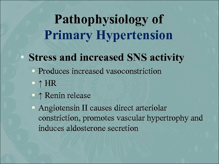 Pathophysiology of Primary Hypertension • Stress and increased SNS activity § § Produces increased