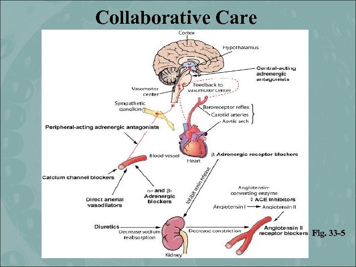 Collaborative Care Fig. 33 -5 