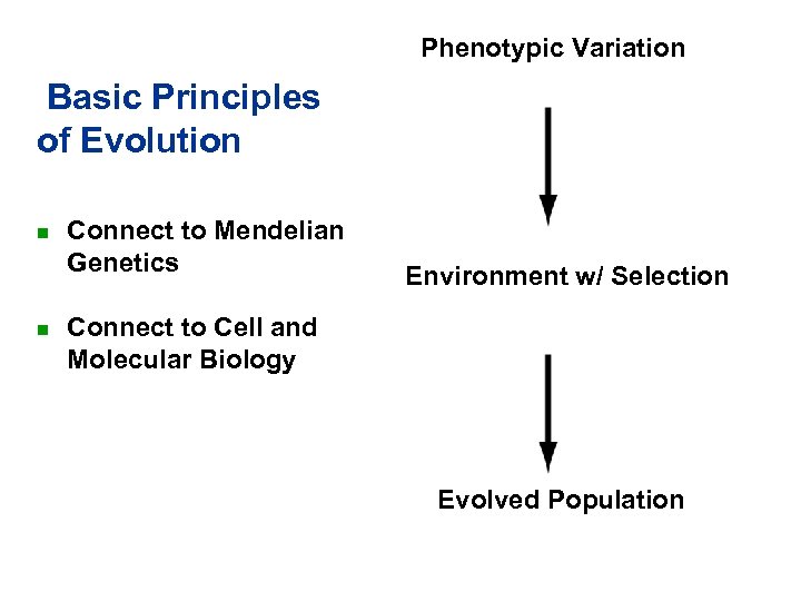 Phenotypic Variation Basic Principles of Evolution n n Connect to Mendelian Genetics Environment w/