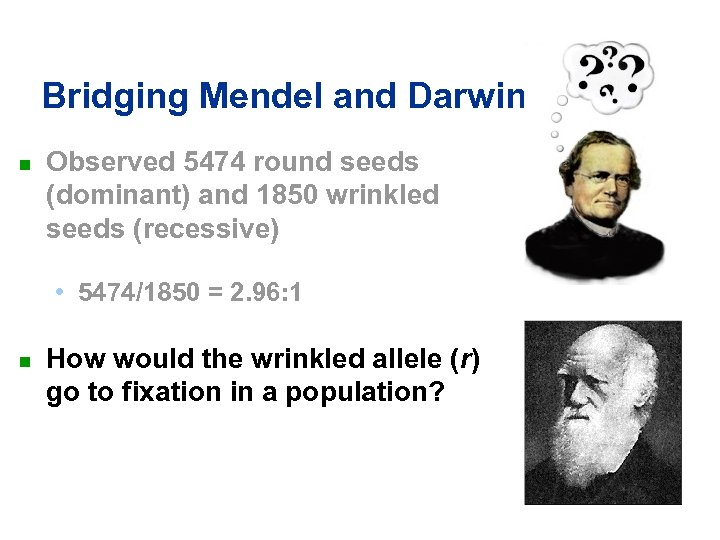 Bridging Mendel and Darwin n Observed 5474 round seeds (dominant) and 1850 wrinkled seeds