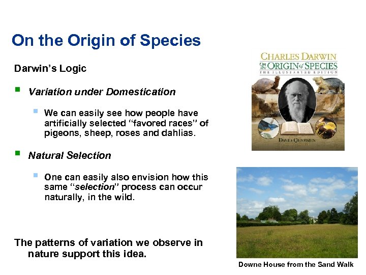 On the Origin of Species Darwin’s Logic § Variation under Domestication § § We